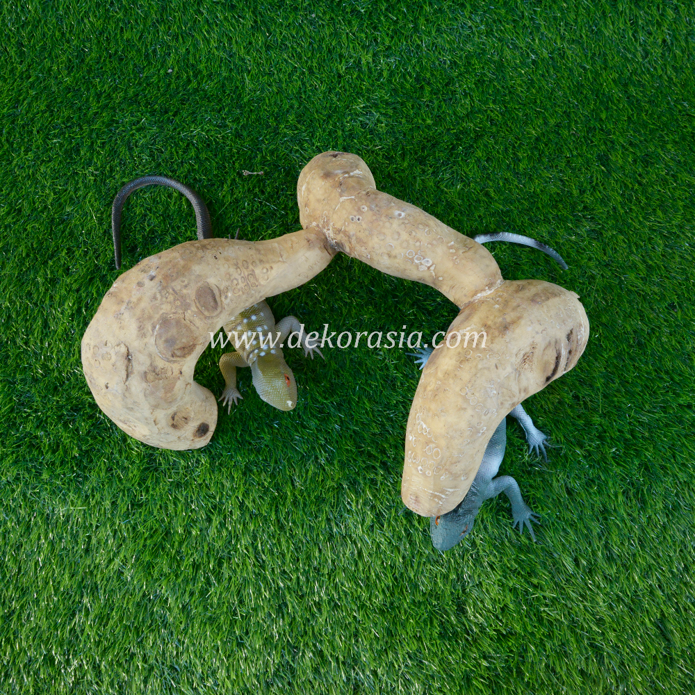 Bamboo Root (Size S) for Jungle Gym, Vivariums Reptile, Aquarium, Aquascaping, Reptile Clean Bamboo Root Decor Craft
